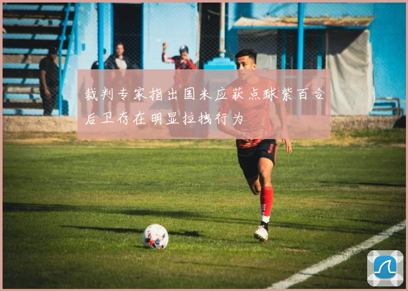 裁判专家指出国米应获点球紫百合后卫存在明显拉拽行为