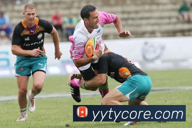 易游体育APP 封面图